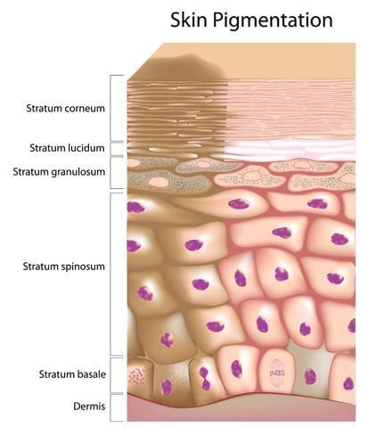 Informational Papers Whitepaper - Is Your Skin Cream Working? - Free for Our Customers